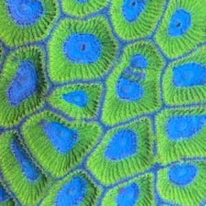 Meet your Posher, Steve